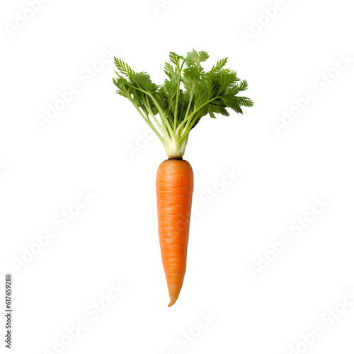 carrot photo
