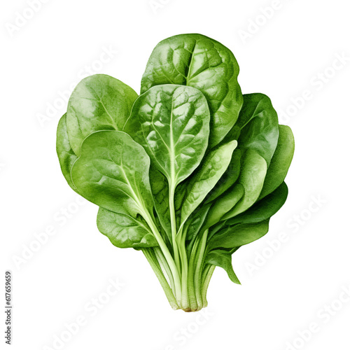 spinach photo