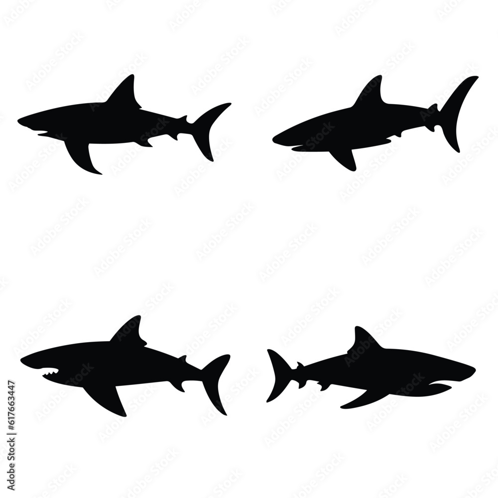 Fototapeta premium set of sharks
