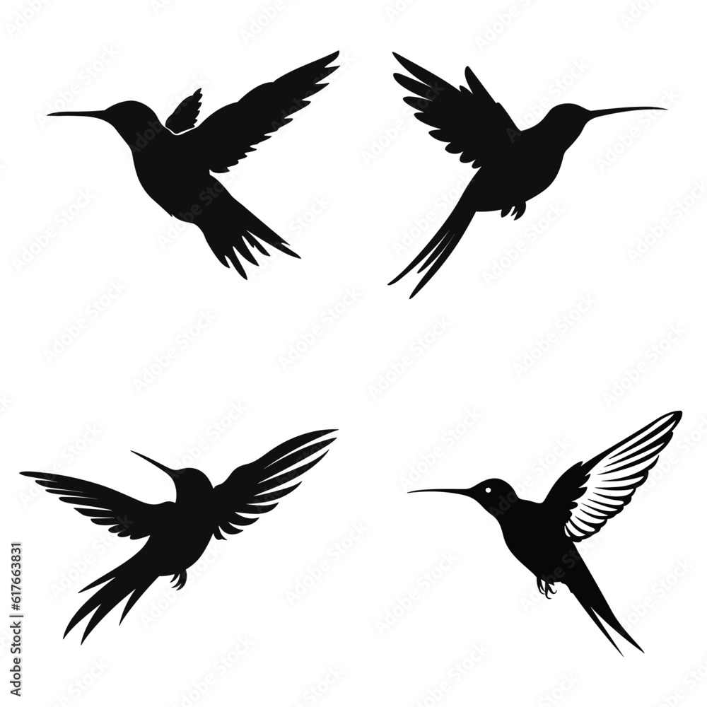 Fototapeta premium set of birds