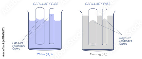 Capillary rise or capillarity is a phenomenon in which liquid spontaneously rises or falls in a narrow space such as a thin tube or in the voids of a porous material. surface tension. General physics.