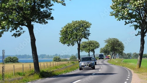 Traffic on a country road lined with Swedish whitebeam (Sorbus intermedia) along the coast of the Baltic Sea in southern Scania, Sweden, Scandinavia, Europe photo