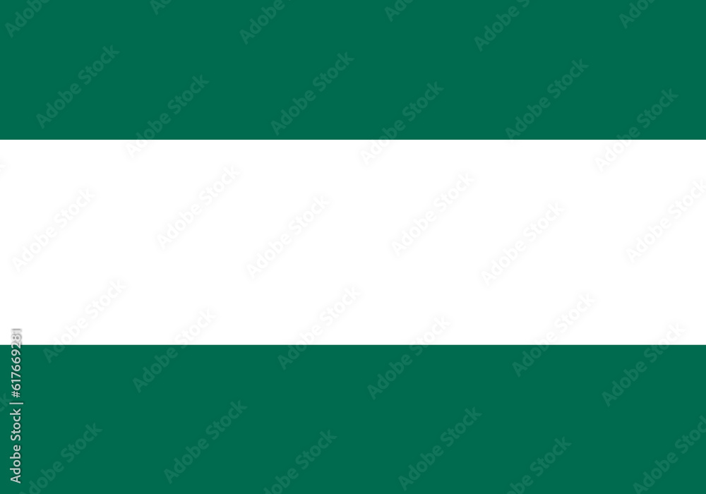 bottle green color background, top view, copy space.Dark green wall background
