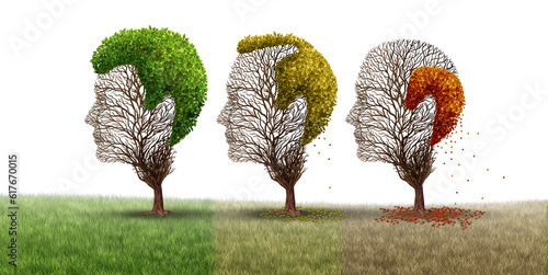 Aging Hair Loss Concept or androgenetic alopecia as a age related receding hairline and thinning on the crown of the bald head and losing hair as tree and leaves with 3D illustration elements.