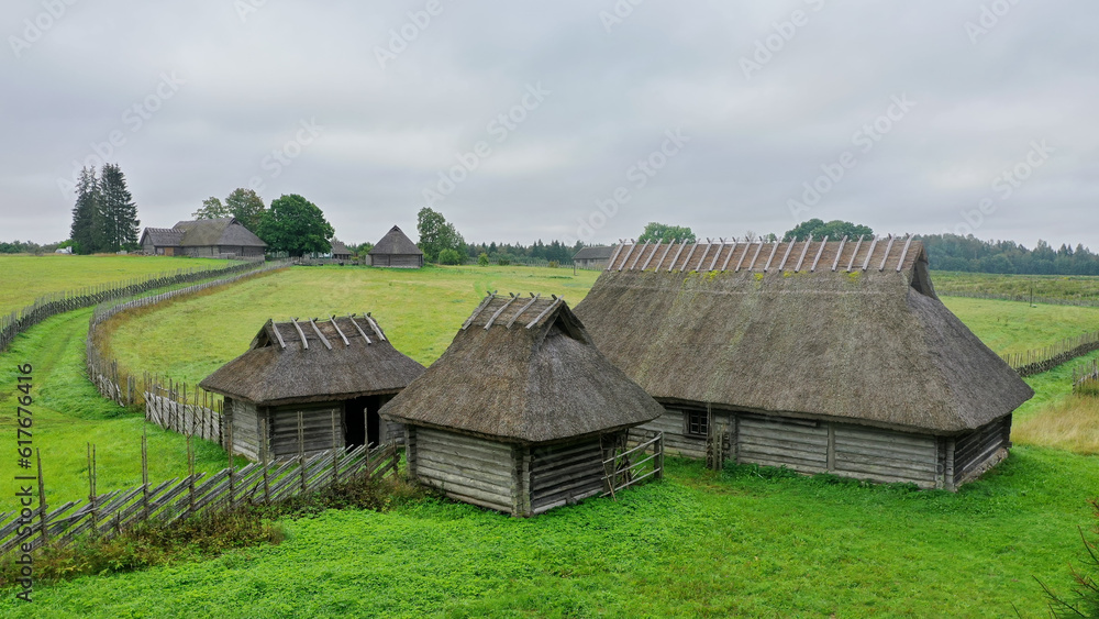 a long row of thatched roofs in a grassy area