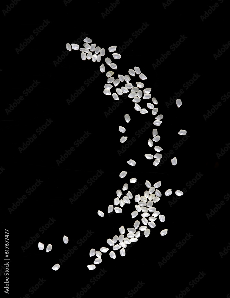 Heaps of uncooked Japanese short grain rice piled together isolated on black background.	
