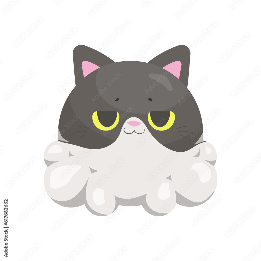 animals cute animals cute