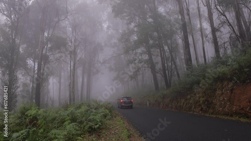 Car travelling through Geehi in cloud, Alpine Way, Kosciuszko National Park. photo