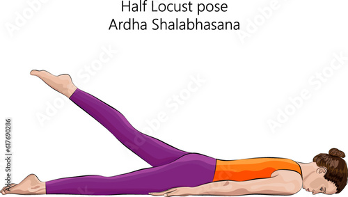 Young woman practicing yoga exercise, doing Half Locust pose. Ardha Shalabhasana. Prone and Backbend. Beginner. Isolated vector illustration.