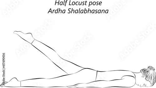 Sketch of young woman practicing yoga, doing Half Locust pose. Ardha Shalabhasana. Prone and Backbend. Beginner. Isolated vector illustration.