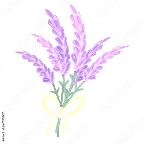 Lavenders bouquet pastel colors minimal flowers hand drawn