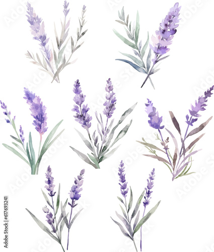 Set Watercolor vector pine tree illustration, isolated white background, flower clipart, for bouquets, wreaths, arrangements, wedding invitations, anniversary, birthday, postcards, greetings
