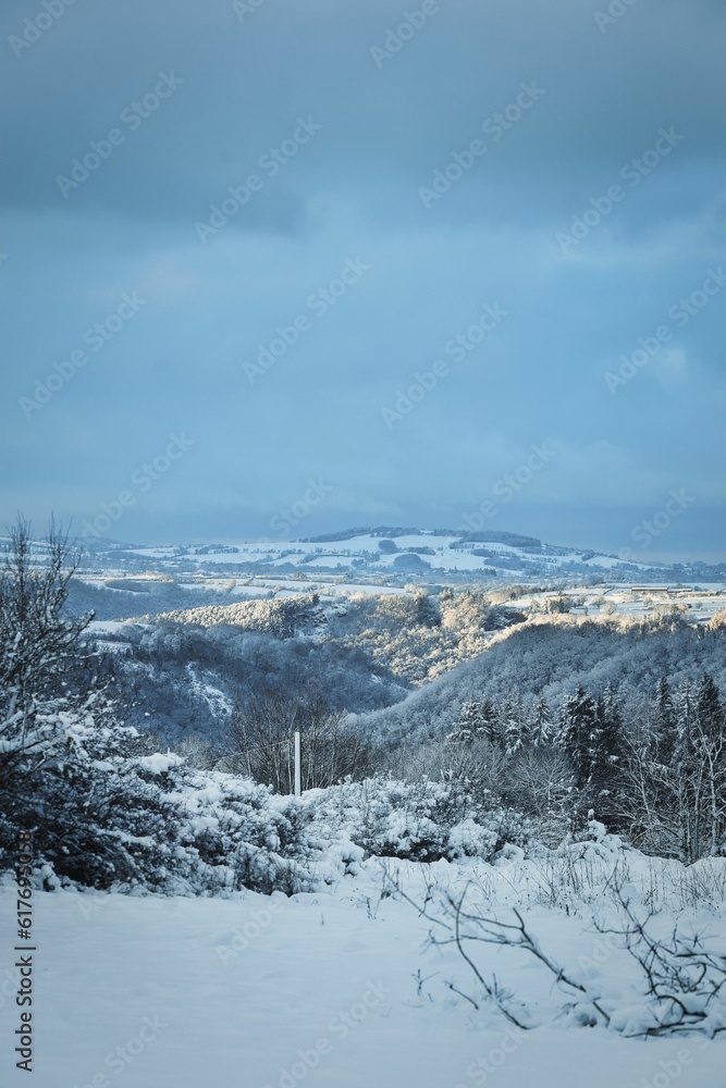 Vertical winter wonderland with beautiful snow-covered landscape