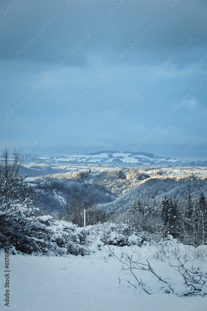 Obraz premium Vertical winter wonderland with beautiful snow-covered landscape
