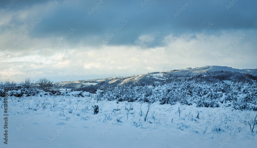 Tranquil winter landscape featuring a snow-covered field with trees and distant mountains