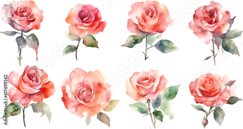 Set Watercolor vector pine tree illustration, isolated white background, flower clipart, for bouquets, wreaths, arrangements, wedding invitations, anniversary, birthday, postcards, greetings