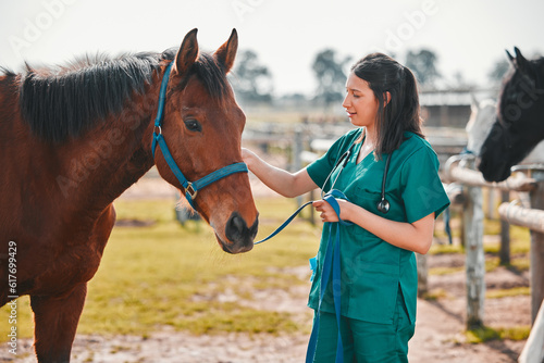 Horse, woman veterinary and medical exam outdoor for health and wellness in the countryside. Doctor, professional nurse or vet person with an animal for help, medicine and healthcare at a ranch