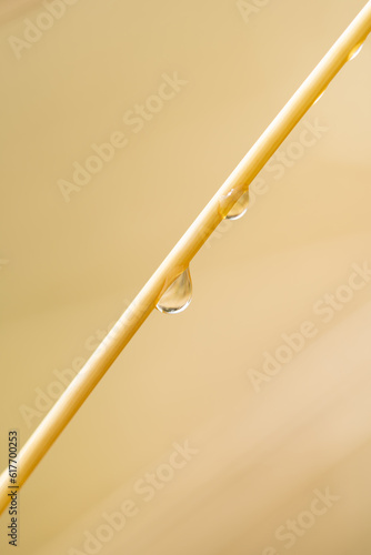 close up water droplet