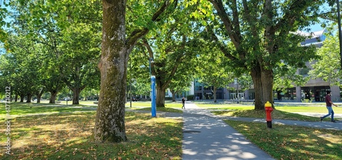 Photography life in Vancouver, New York, and Shanghai.