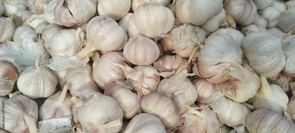 Closeup shot of a pile of freshly harvested garlic Closeup shot of a pile of freshly harvested garlic