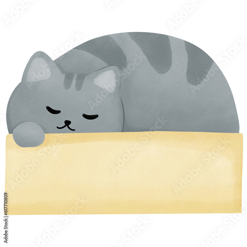 Sleeping Cat