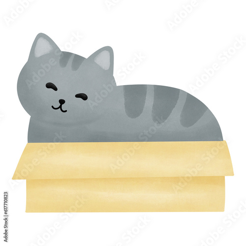 Cat in The Box