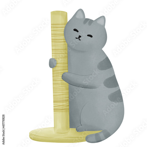 Playing Cat