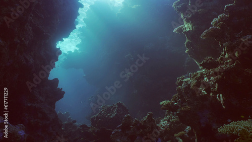 Coral caves on sunny day in bright sunlight  Backlighting  Contre-jour  Red sea  Safaga  Egypt