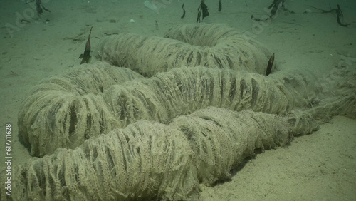 Photography Jelly-like pipe on sandy seabed