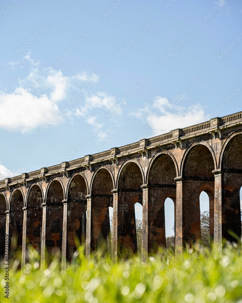 Ouse Valley Viaduct bridge spans across the top and lush green grass in the foreground.