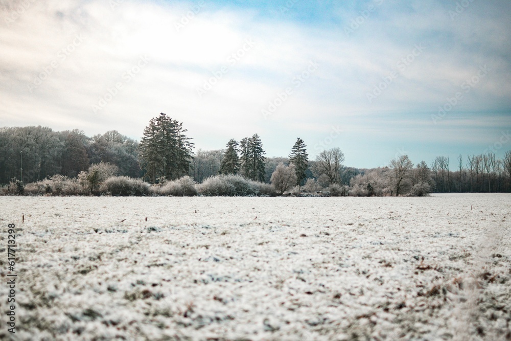 Wintery landscape of a snow-covered field beneath the sky Wintery landscape of a snow-covered field beneath the sky