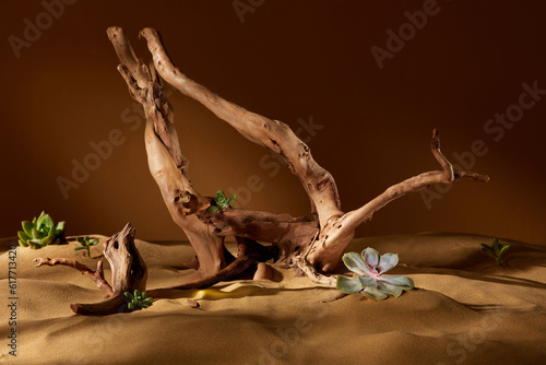 Product display with tropical wild concept, driftwood trunks and golden sand © Han