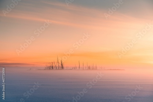 Landscape of a snowy field covered in fog during the beautiful sunrise in the morning © Visualsbyconny/Wirestock Creators