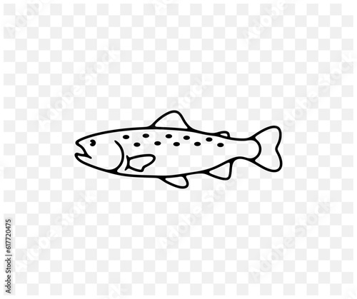 Rainbow trout, trout, fish, animal, fishing and nature, linear graphic design. Food, meal, seafood, fishery, cutthroat and aquaculture, vector design and illustration