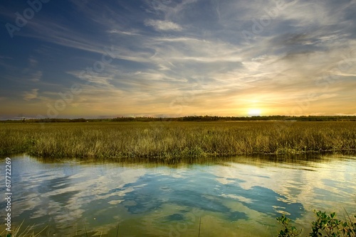 Sawgrass Marsh  Florida s Nature Coast