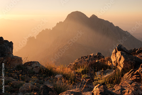 Dramatic mountain silhouette at sunset with glowing golden sky, rocks and yellow flowers.