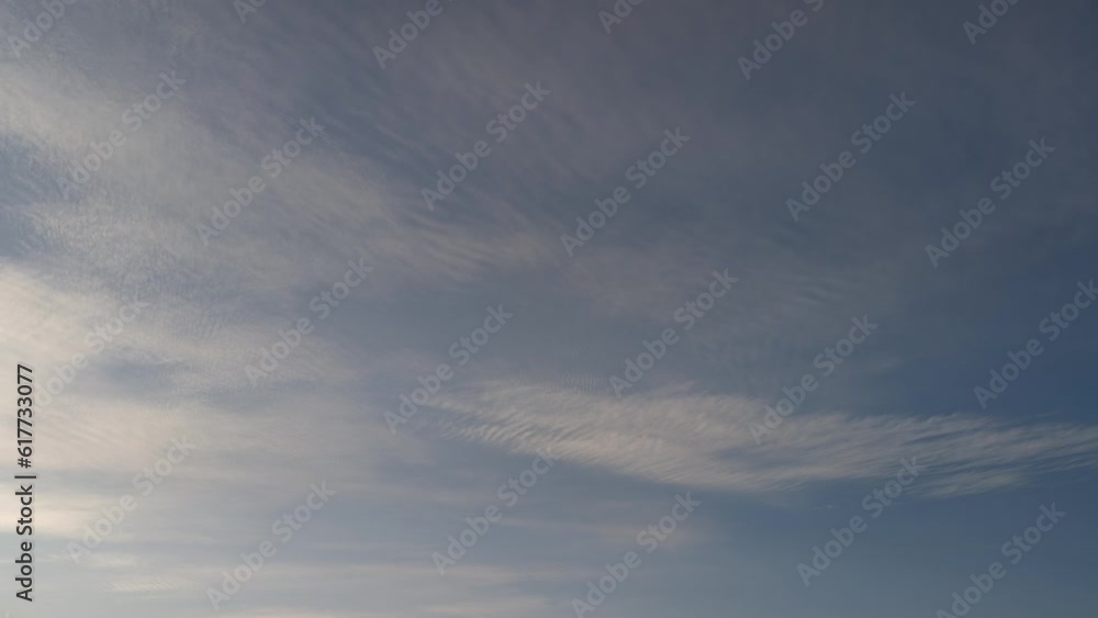 Birds move around the cirrocumulus clouds Birds move around the cirrocumulus clouds
