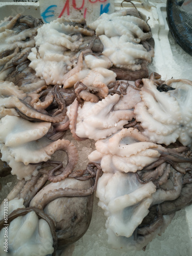 Cuttlefish in open seamarket photo