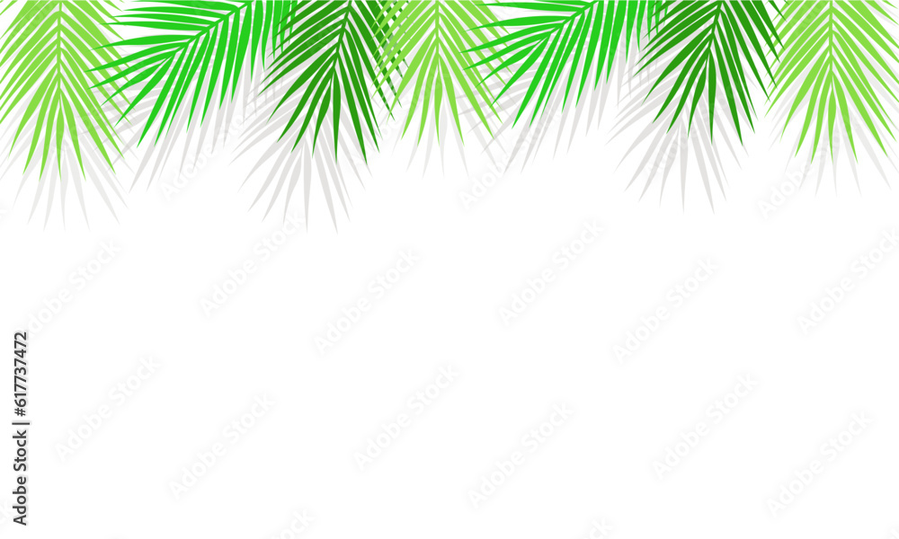 Green palm tree frame background. Palm leaf. Vector illustration isolated on white background. EPS10