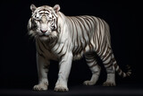 Full body of white tiger on dark background,AI Generated.
