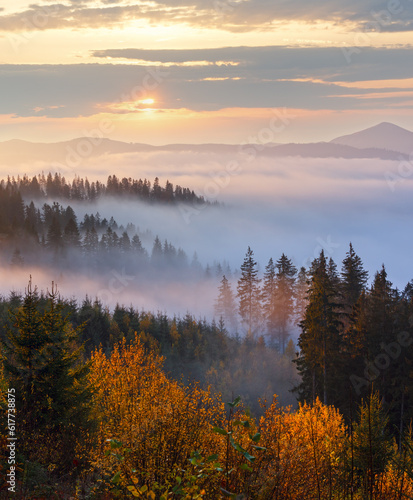 Morning fog on the slopes of the Carpathian Mountains, Ukraine.