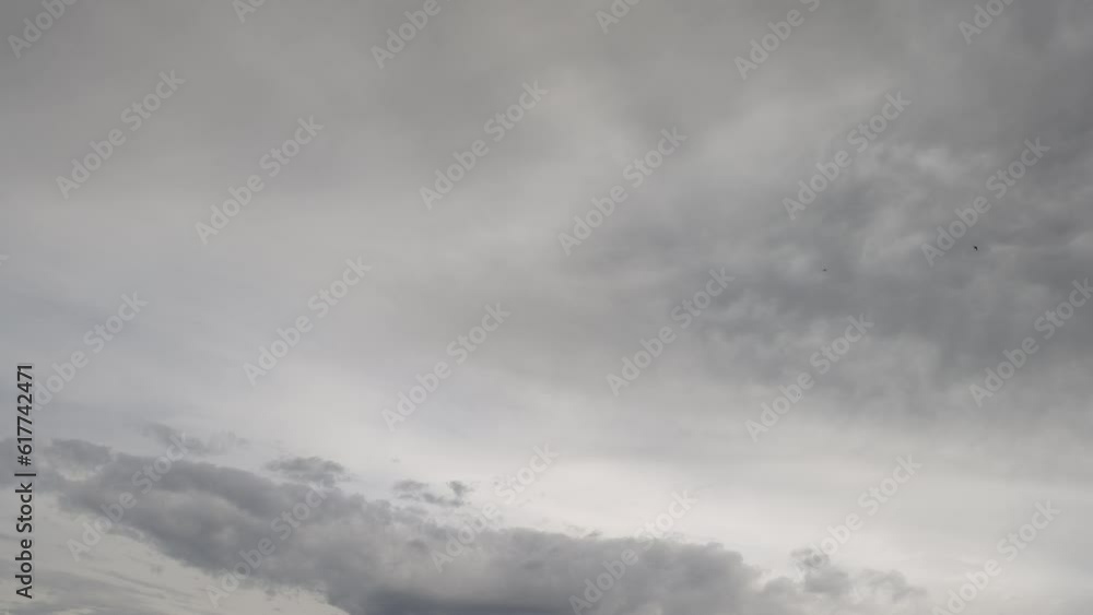Birds fly gracefully in the dark sky with a nearby storm Birds fly gracefully in the dark sky with a nearby storm