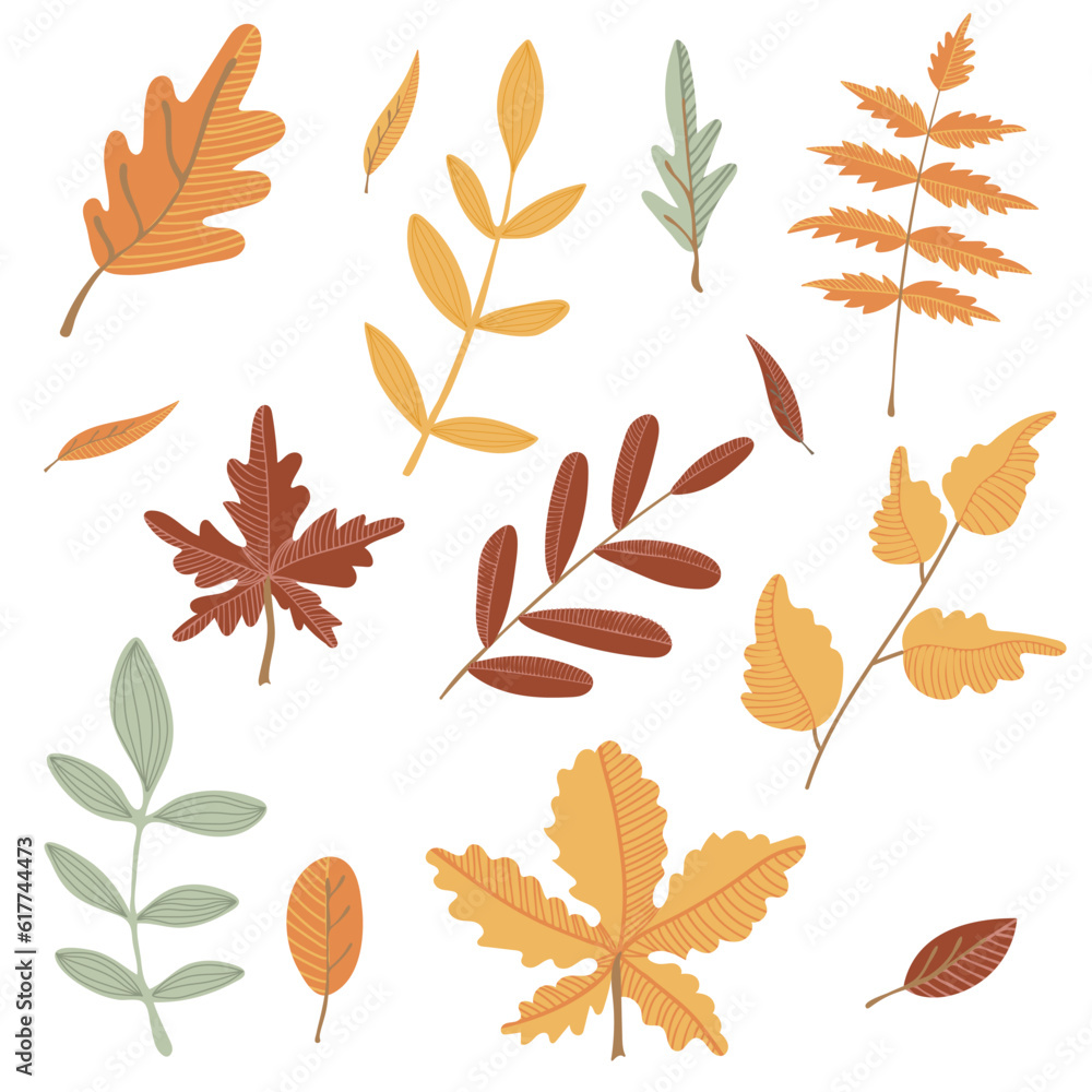 Set of autumn leaves. Maple, oak, chestnut leaves. Hand drawn elements for autumn decorative design, halloween invitation, harvest or thanksgiving. Vector illustration