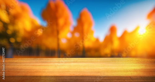 Wooden planks against the background blurred of trees in a beautiful autumn park. Autumn background for presentation.