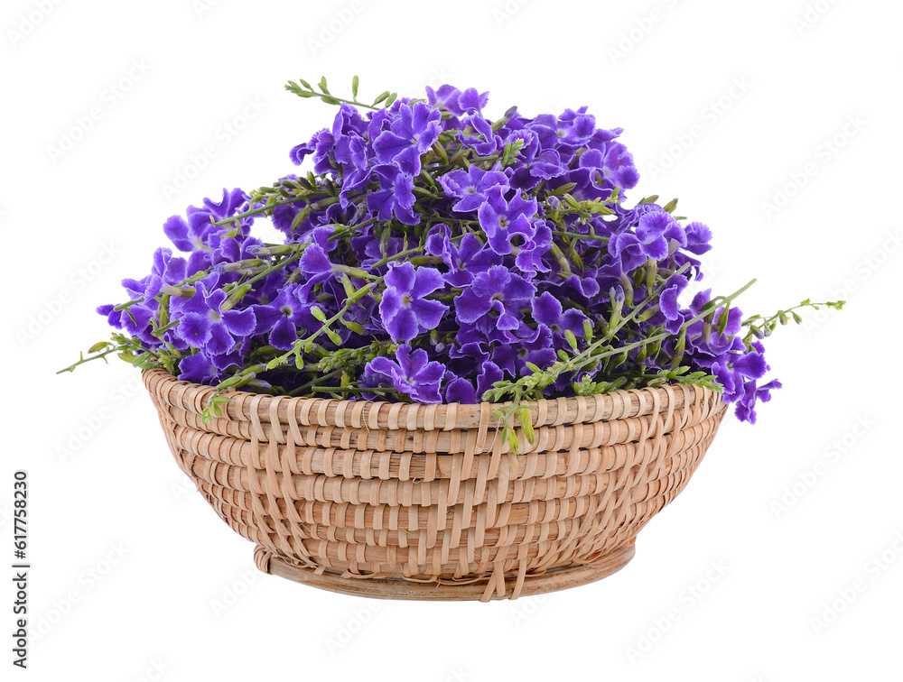 Purple flowers in basket on transparent png