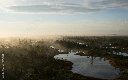 Fototapeta Naklejka Na Ścianę i Meble -  Sunrise in the swamp