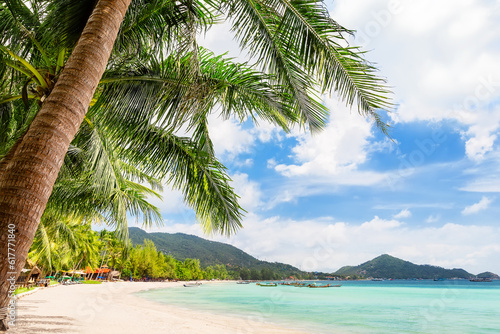 Beautiful sand beach with coconut palm trees against blue sky in Koh Tao  Thailand.