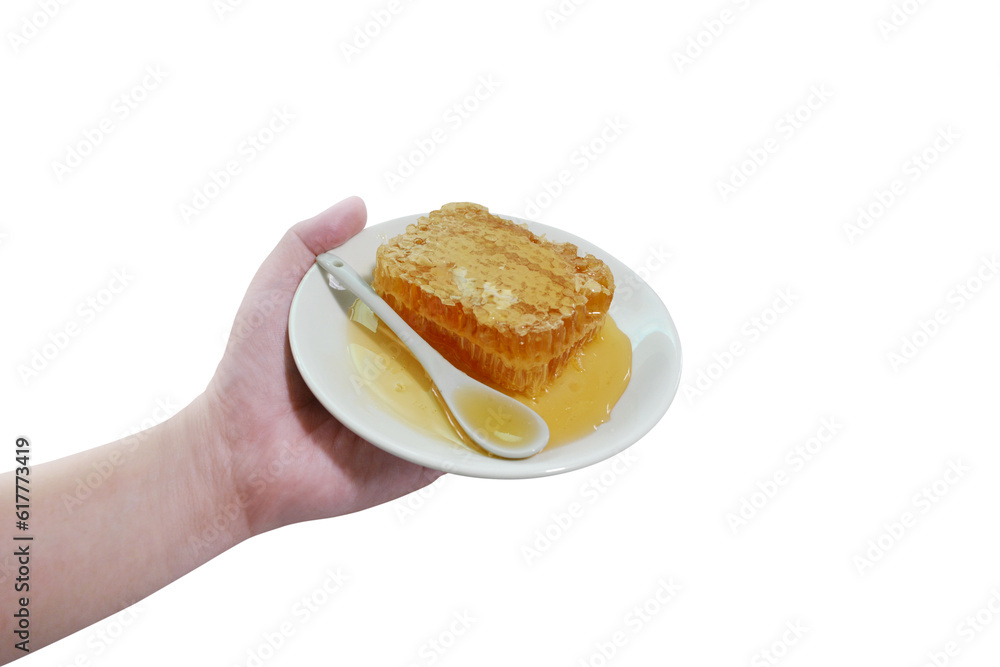 Honeycomb on a plate in hand . Honey flows out of a honeycomb into a plate. PNG transparent Honeycomb on a plate in hand . Honey flows out of a honeycomb into a plate. PNG transparent