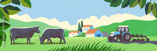 Rural landscape with tractor and cows. Agriculture