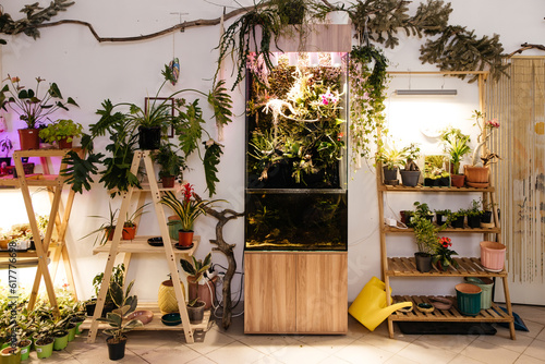 interior home greenhouse with large terrarium